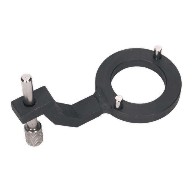 Hovedbilde Drivstoffpumpeholdeverktøy for Jaguar, Land Rover 3.0D - Remdrift VSE5312