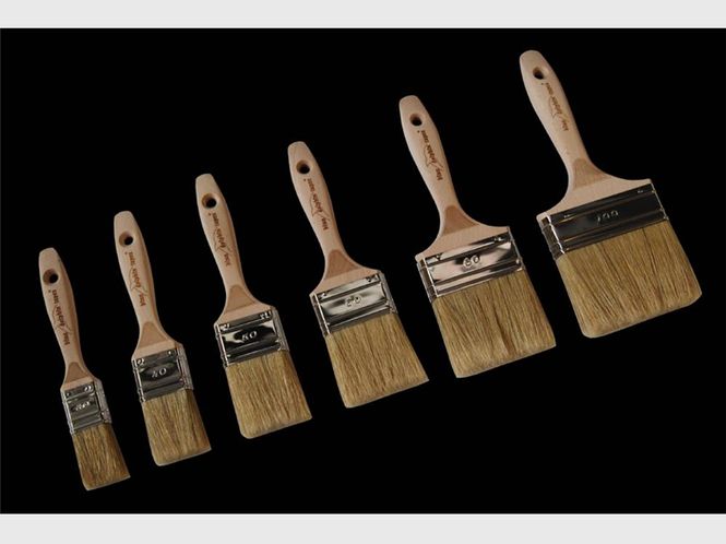 Hovedbilde Malekost Engelsk bust proff, Dolphin 100mm flat PAD_NC_13606