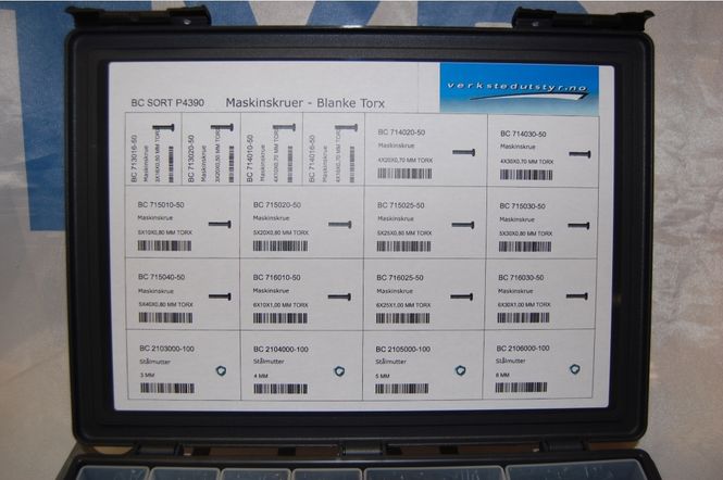 Hovedbilde Sortiment med maskinskruer og muttere PH Torx 1100 deler P4390